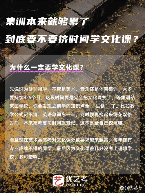 《每月集训课》