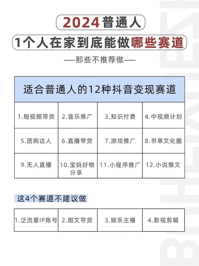 黄岛主 · 抖音盘点赛道变现分享课*