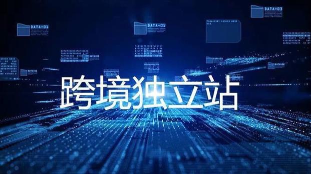 《独立站数据化运营》