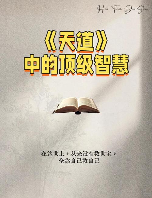 完结 天-道-思-维-开-悟-课