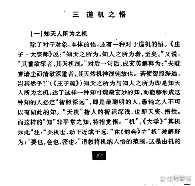 《有点泄露天机的几段话》