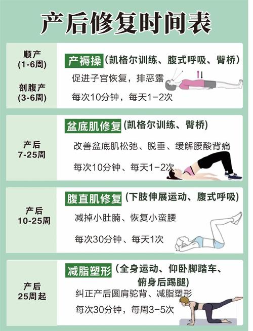 《久坐女性家庭减脂方案》