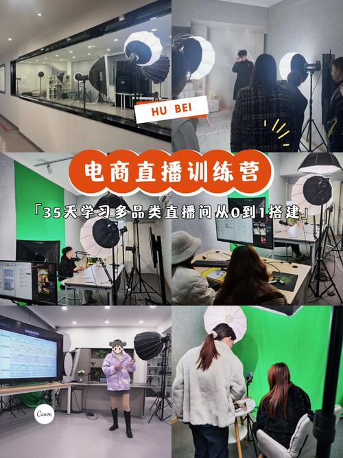 《高效流量承接主播训练营》