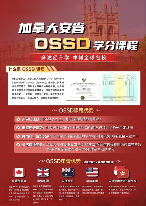 橄榄绿出海·谷歌广告投放课(高级课)