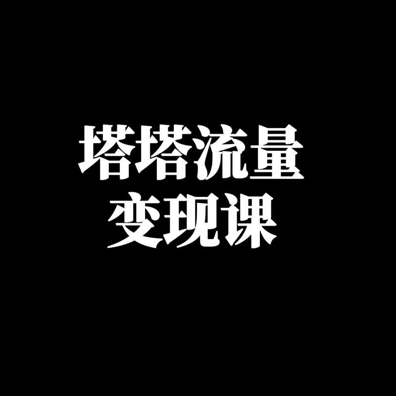 《流量变现课》