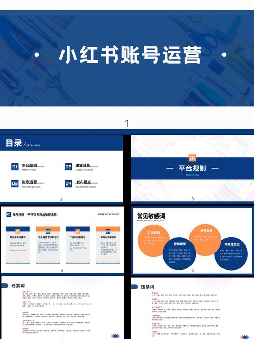 《小红书无货源电商实战课件》