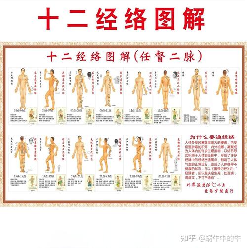 经络诊断与处方十二经络循