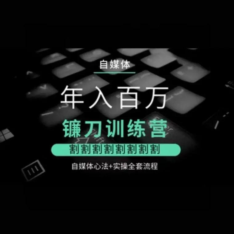 《年入百万自媒体镰刀训练营》