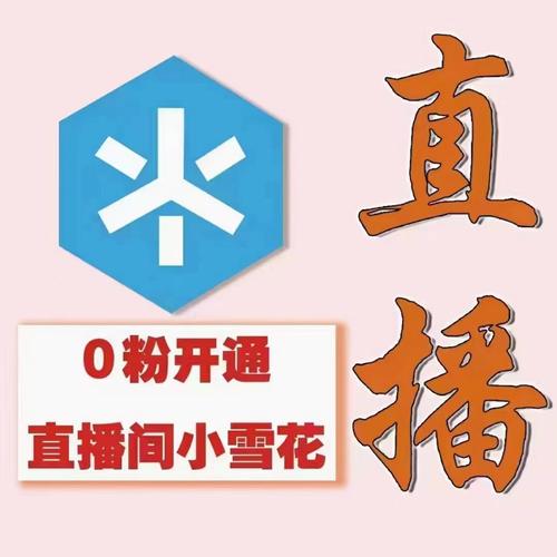 独家抖音小雪花项目，单账号日入几张*