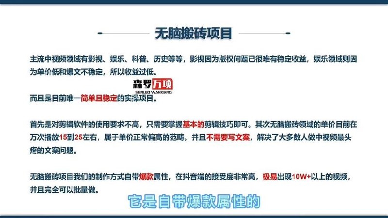 《中视频无脑搬砖训练营》