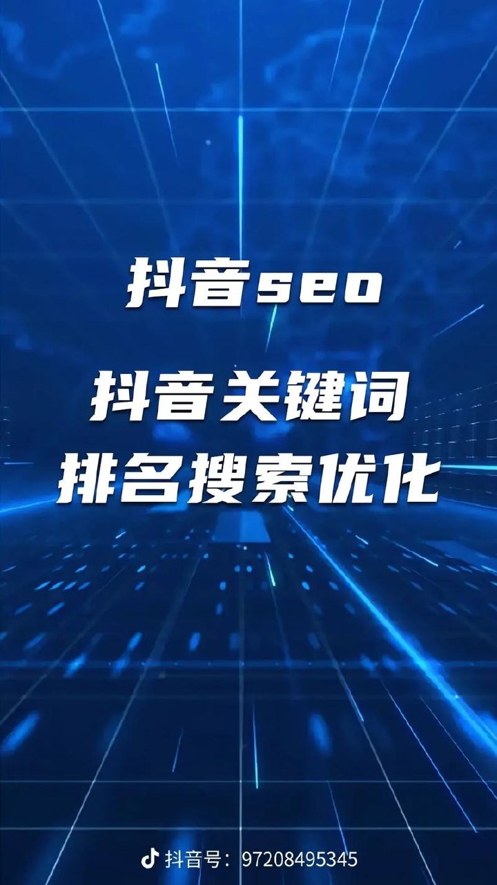 《抖音SEO优化课》