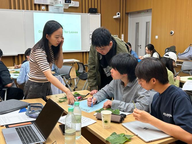 《Temu跨境开店运营实操课》
