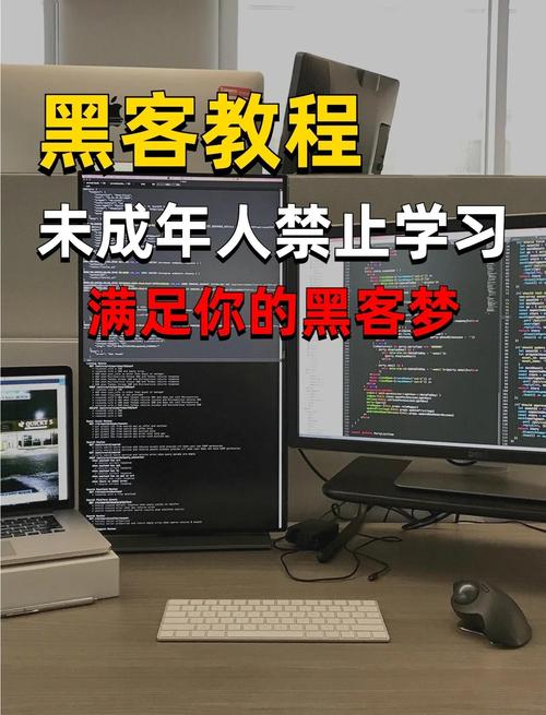 《Temu快速入门实战课》